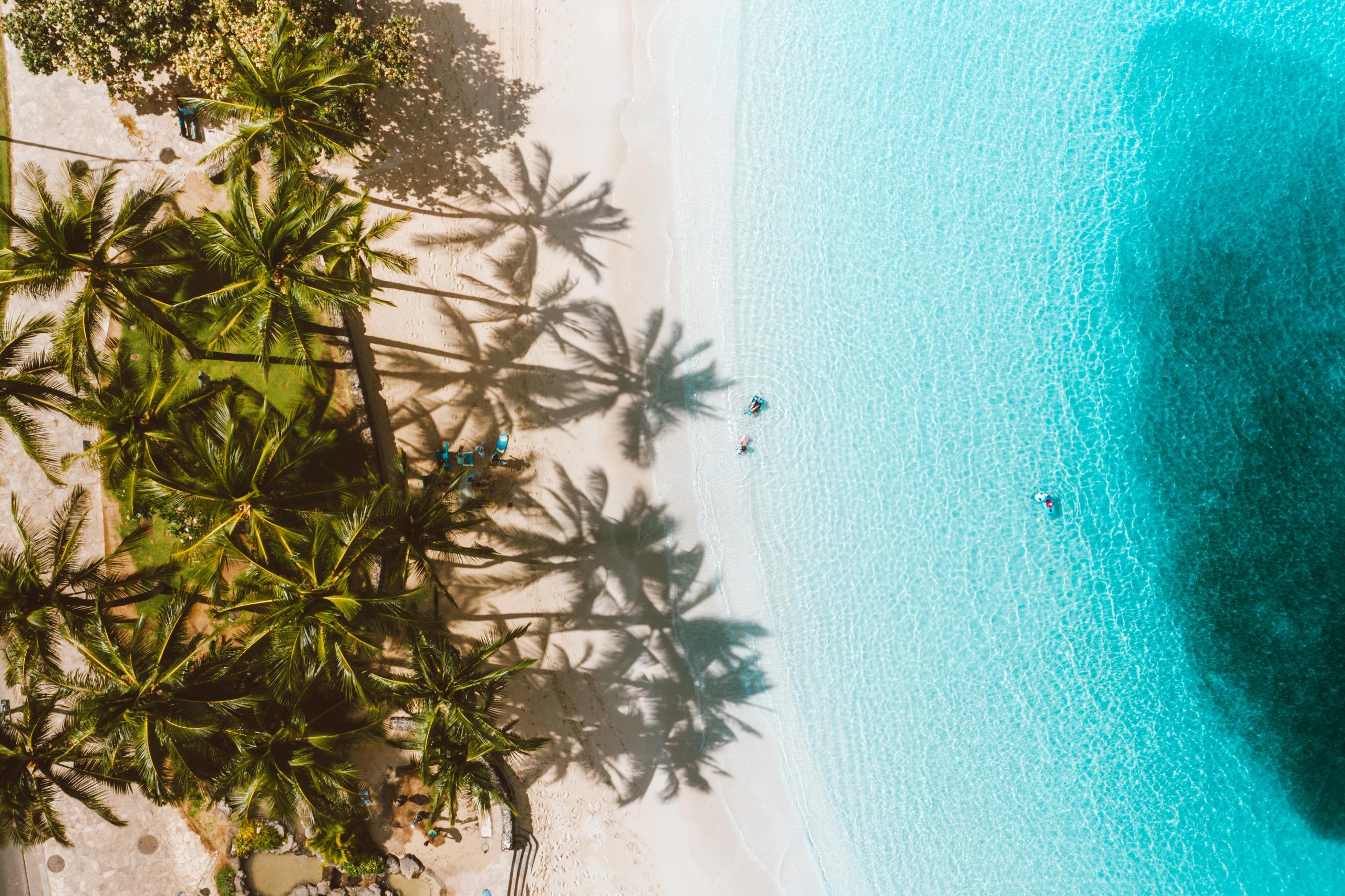 Luftaufnahme eines Palmenstrands mit weißem Sand und türkisblauem Wasser, die Palmen werfen lange Schatten auf den Strand Luftaufnahme eines Palmenstrands mit weißem Sand und türkisblauem Wasser, die Palmen werfen lange Schatten auf den Strand